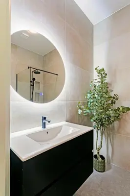 a bathroom with a sink and a mirror and a potted plant at Stylish apartment next to the Amstel River - Unit A in Amsterdam