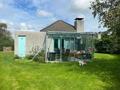 a dog sitting in the yard of a house at Noordzee omheind met hond in Dirkshorn