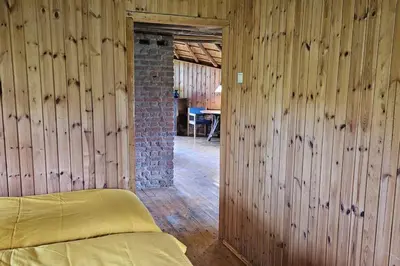 a bedroom with wooden walls and a bed in a room at Natuurhuisje op Landgoed Groot Diermen in Putten