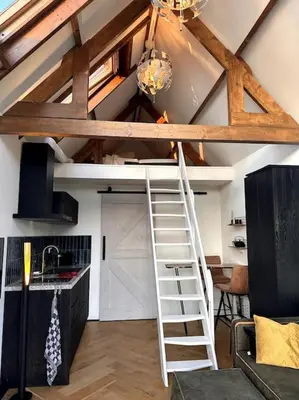 a ladder in a kitchen with a loft at Tiny house of Picasso in Warmenhuizen