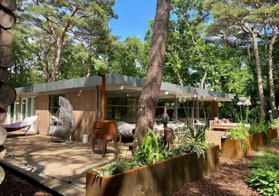 a house in the woods with a tree at Magical Woods in Bergen