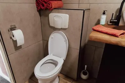 a bathroom with a toilet and a roll of toilet paper at Cosy bungalow with private garden in Noordwijkerhout