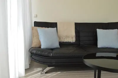a black leather couch with two blue pillows on it at Cozy bungalow (Near beach, tulip fields, etc) in Noordwijkerhout