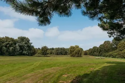 a large field with trees in the distance at Rode Tiny House met zwembad in Zeewolde