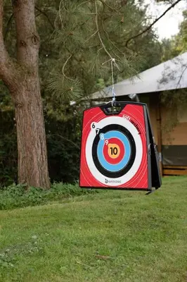 a target hanging from a tree in a yard at Rode Tiny House met zwembad in Zeewolde