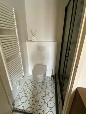 a small bathroom with a toilet and a shower at Gorgeous room near Haarlem Station, city center in Haarlem