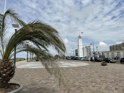 a palm tree on a sidewalk with a building in the background at Holiday Home Tapuit 6-1 by Interhome in Noordwijk