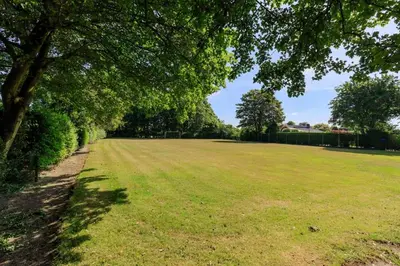 a large grass field with a tree in the foreground at Enjoyable holiday home in Noordwijk