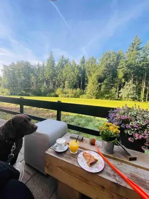Gallery image of Magical Cottage in the woods in Baarn