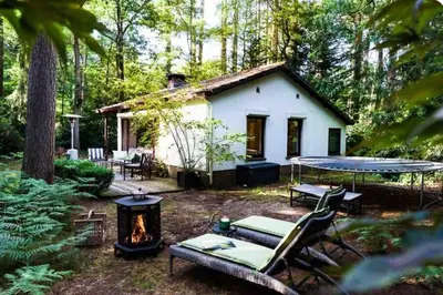 Gallery image of Magical Cottage in the woods in Baarn