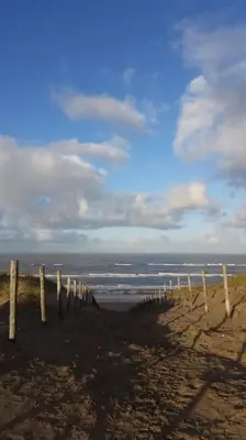 a group of wooden posts on a beach at Beach House Sea La Vie 50 meters from the beach in Zandvoort
