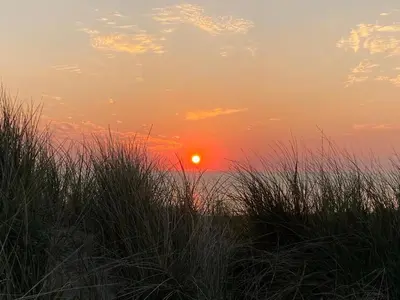 a sunset over the ocean with grass in the foreground at Strand 122 Appartement in Egmond aan Zee