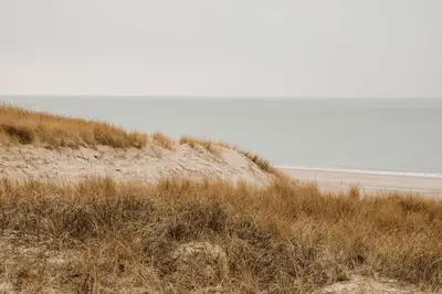 a beach with grass and the ocean in the background at Etoile31 seaside apartment Egmond aan Zee in Egmond aan Zee