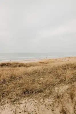 a field of grass with the ocean in the background at Etoile31 seaside apartment Egmond aan Zee in Egmond aan Zee