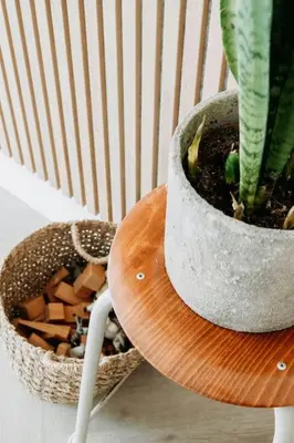 a plant in a pot sitting on a table at Etoile31 seaside apartment Egmond aan Zee in Egmond aan Zee