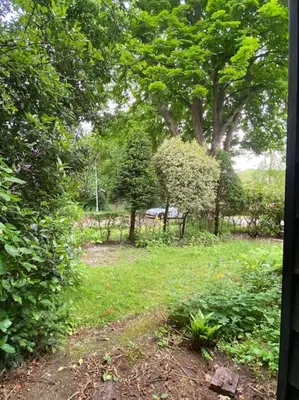 a view of a yard with trees and grass at Villa bij bos en centrum in Bergen