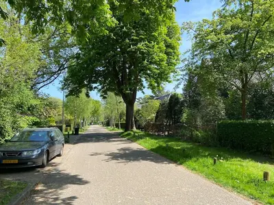 a car parked on the side of a tree lined street at Villa bij bos en centrum in Bergen
