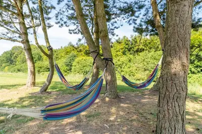two hammocks hanging from trees in a park at Yellow Tiny House with shared pool in Zeewolde