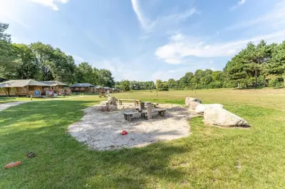 a park with a picnic table and rocks in the grass at Yellow Tiny House with shared pool in Zeewolde