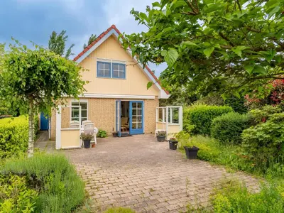 a house with a brick driveway in front of it at Schoorlse Duinvoet in Schoorl