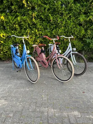 a group of three bikes parked next to each other at Chalet Buitenhof 45A in Oegstgeest