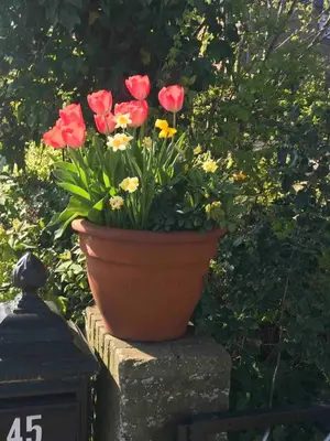 a pot of flowers sitting on a stone wall at Chalet Buitenhof 45A in Oegstgeest