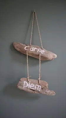 a wooden sign with the words either driver hanging on a wall at Have a nice stay! - Trendy Vakantiehuis Carpe Diem met eigen tuin in Noordwijk