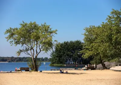 a sandy beach with trees and a body of water at In Almere, Close to Amsterdam in Almere