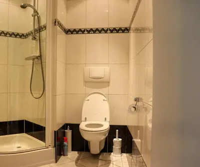 a small bathroom with a toilet and a shower at Sea la Vie in Egmond aan Zee