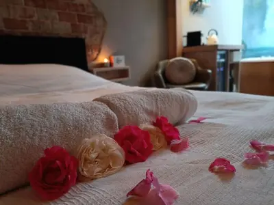 a white bed with red rose petals on it at Waterval Wellness-suite met Sauna! in Bodegraven