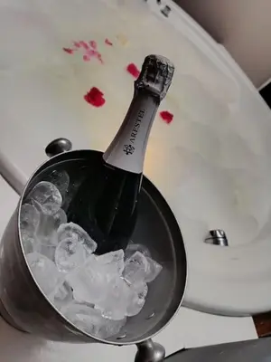 a bottle of champagne in a pot of ice at Waterval Wellness-suite met Sauna! in Bodegraven