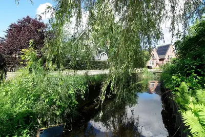 a tree hanging over a river with a house in the background at Tranquil wooden house with free parking in Amsterdam