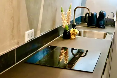 a kitchen counter with a sink with flowers on it at Casa del Queso in Alkmaar