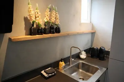 a kitchen counter with a sink and vases of flowers at Casa del Queso in Alkmaar