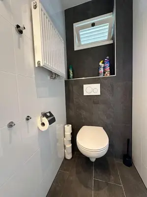 a bathroom with a white toilet and a mirror at De schelp 71, Free parking in Zandvoort