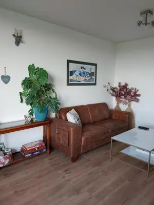 a living room with a brown couch and a table at Vakantiewoning Hem in Hem
