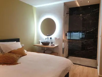 a bedroom with a bed with a sink and a mirror at Luxe stal appartement in Loenen aan de Vecht
