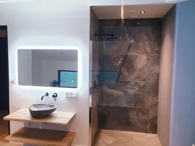a bathroom with a sink and a shower at Luxe stal appartement in Loenen aan de Vecht
