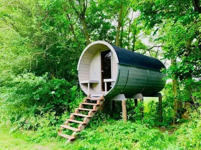 a small tree house with a ladder in the forest at Twee heerlijke Boomhutten in de natuur, Amsterdam in Nigtevecht