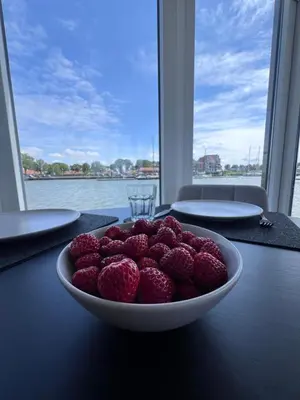 a bowl of raspberries on a table in front of a window at Oktopus-Lofts - Houseboat in Lelystad
