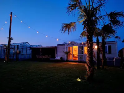 a house with a palm tree in a yard at night at Chalet aan zee in Noordwijk aan Zee