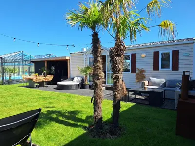 a yard with two palm trees and a house at Chalet aan zee in Noordwijk aan Zee