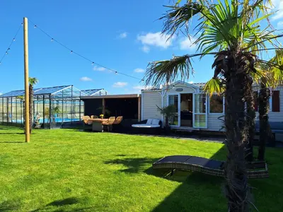 a palm tree in the yard of a house at Chalet aan zee in Noordwijk aan Zee