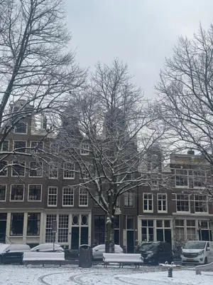 a snow covered tree in front of a building at Studio Jordaan Amsterdam City Centre in Amsterdam