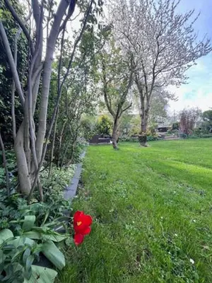 a red flower in the grass in a park at Bed and breakfast private accommodation at Amsterdam Houseboat in Amsterdam