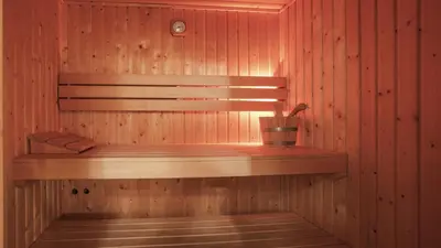 a wooden shelf in a sauna with a plant at Dutchen Vakantiepark Duynvallei in Schoorl