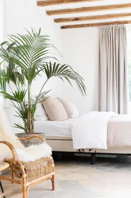 a bedroom with a bed and a plant and a chair at Ben bij Bos in Oude-Niedorp