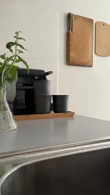 a kitchen counter with a sink and a plant on a shelf at Luxury spacious private loft, between city & beach in Heemstede