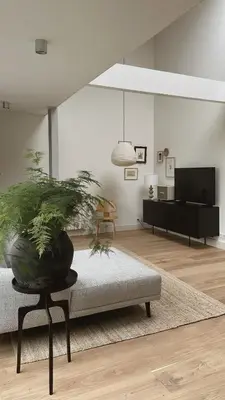 a living room with a couch and a potted plant at Luxury spacious private loft, between city & beach in Heemstede
