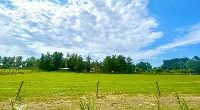 a field with a fence and a cloudy sky at Mediterranean style chalet with jacuzzi and garden near Amsterdam in Vijfhuizen